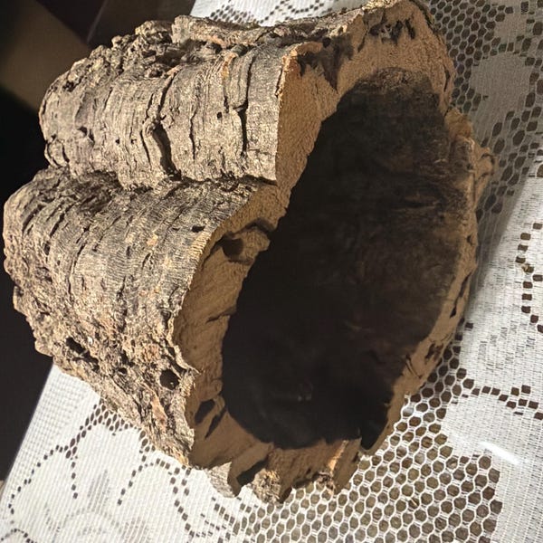 Virgin Cork Bark Rounds: Natural Terrarium & Reptile Habitat Decor - Etsy