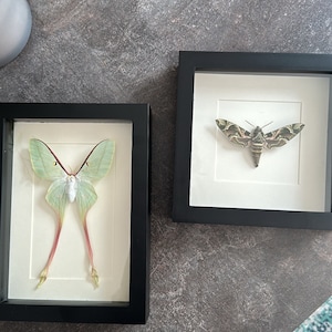 Katrin added a photo of their purchase