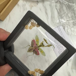 Katie ha añadido una foto de su compra