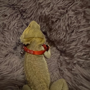 Oscar added a photo of their purchase