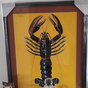 Paul ha añadido una foto de su compra