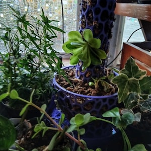Dawn added a photo of their purchase