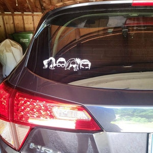 Meg added a photo of their purchase