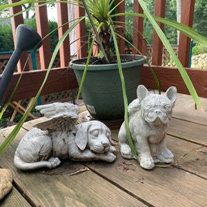 Beth added a photo of their purchase