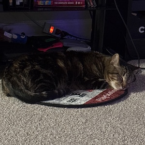 Shannon added a photo of their purchase