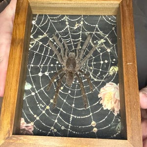 Skyler added a photo of their purchase