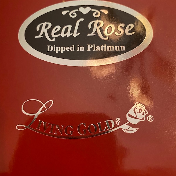 Gold Venus Rose by Living Gold Real Rose Dipped in Gold 12 Open Bud - Etsy