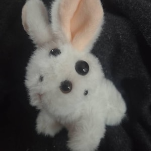 Isabella added a photo of their purchase