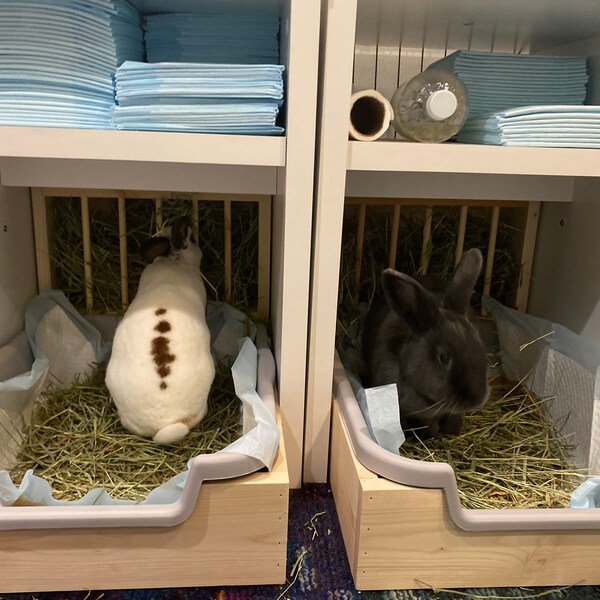 Small Vertical EZ Entry - Hop Box: Rabbit Bunny Easy Entry Hay Feeder ...