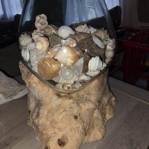 Chrisandra added a photo of their purchase