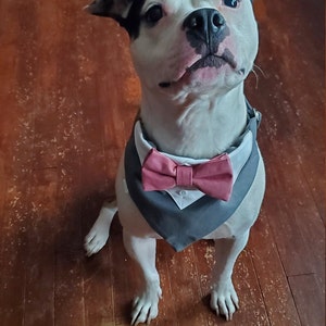 Tania added a photo of their purchase