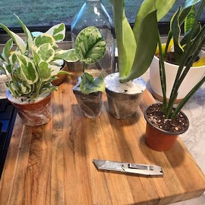 Kasie added a photo of their purchase