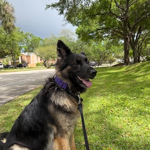 Isabella ha añadido una foto de su compra