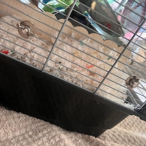 Anna added a photo of their purchase