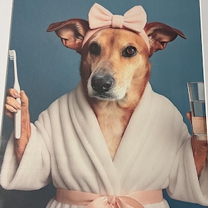 Sheila lade till en bild av sitt köp