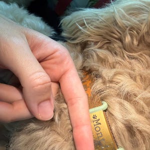 ally added a photo of their purchase