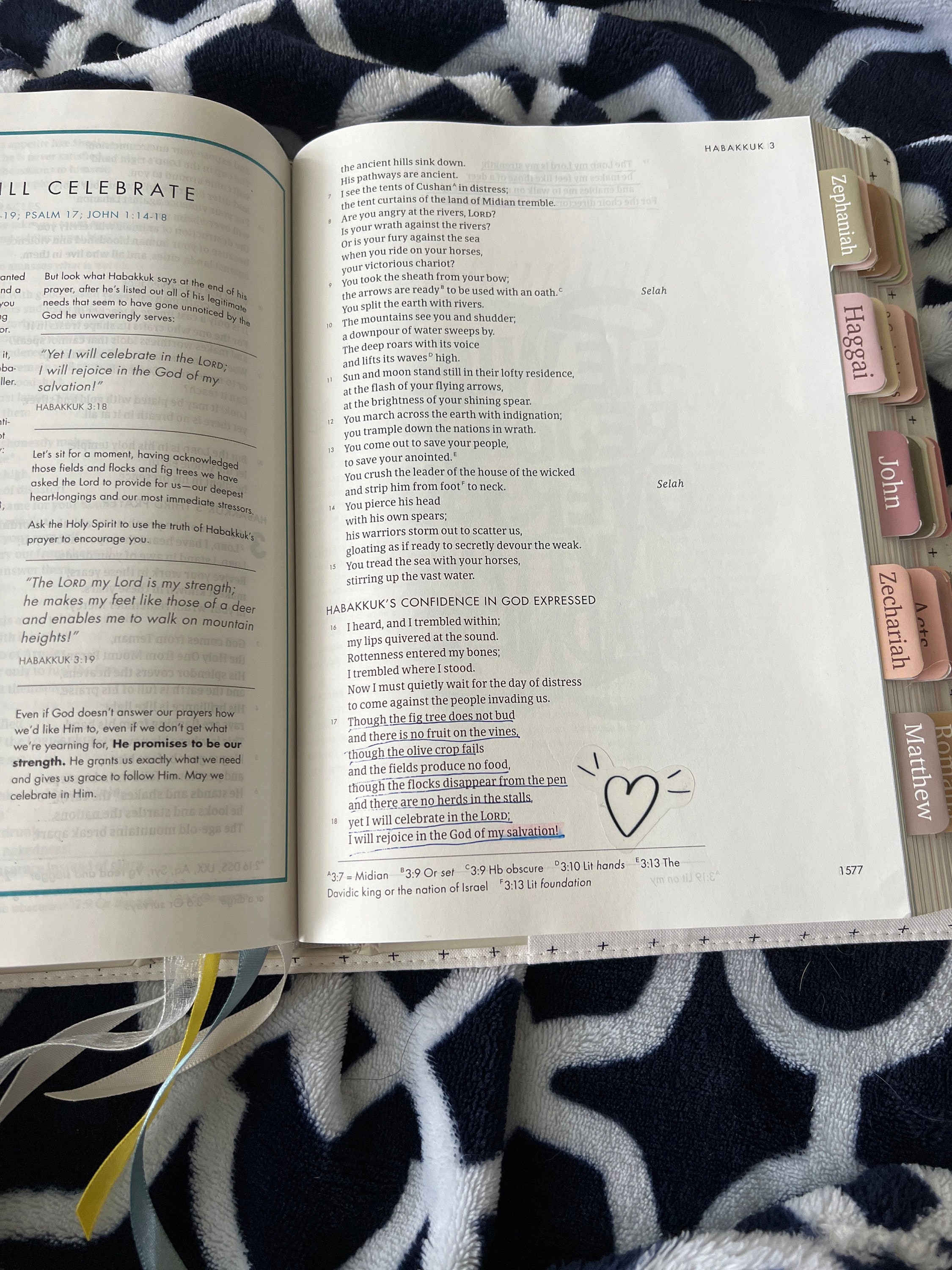 Bible and Planner Clear Stickers