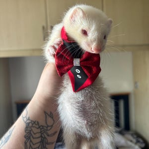 Kamila added a photo of their purchase