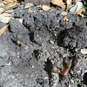 Michael ha añadido una foto de su compra