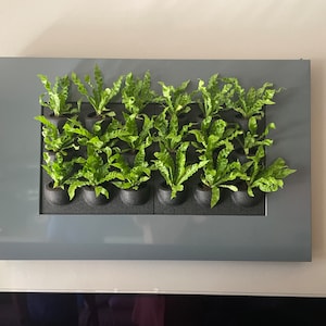 Daniel added a photo of their purchase