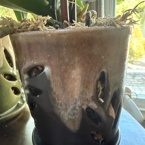 Michelle added a photo of their purchase