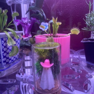 Laura added a photo of their purchase