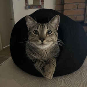 Steve a ajouté une photo de son achat
