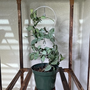 Timothy added a photo of their purchase