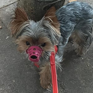 Caroline added a photo of their purchase