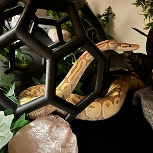 Alyssa ha añadido una foto de su compra