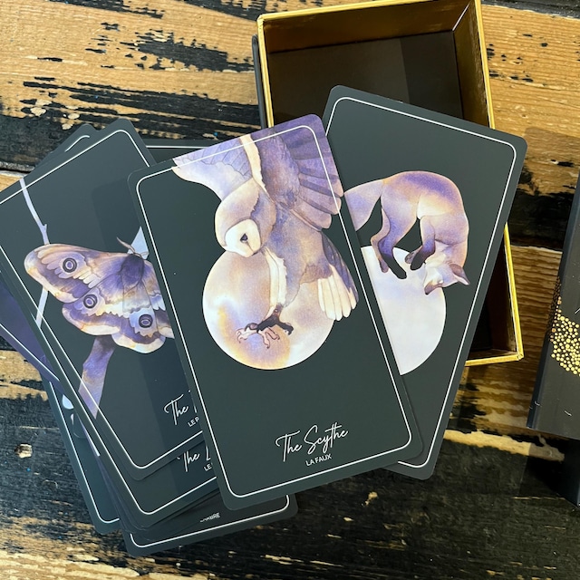 The Magpie Lenormand - Etsy