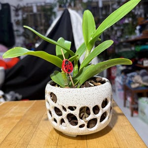 Christine added a photo of their purchase