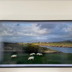 Laird added a photo of their purchase
