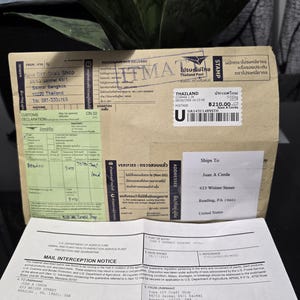 Semillas de culantro , chadon beni , diente de sierra de culantro, semillas de hierbas caribeñas cilantro de diente de sierra, cilantro serrado, recao , chadron