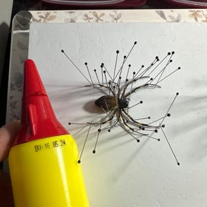 James a ajouté une photo de son achat