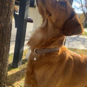 Cloie adicionaram uma foto da sua compra