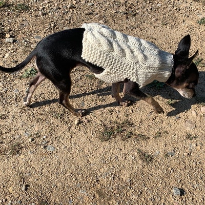 XXXS Dog Sweater, XXS Dog Coat, XXS Dog Clothes, Tiny Dog Sweater