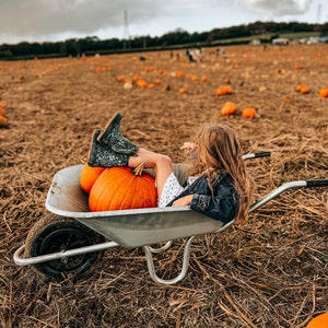 Fern added a photo of their purchase