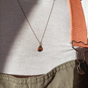 Ari added a photo of their purchase