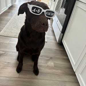 Anna added a photo of their purchase