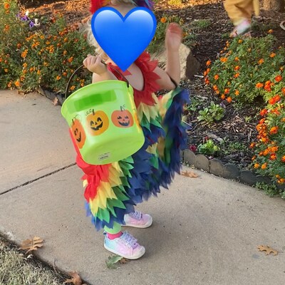 outwoods sandals cow print