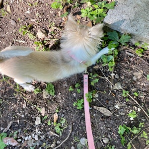 Francesca ha añadido una foto de su compra