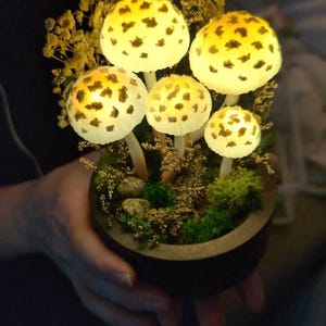 Rob hat ein Foto des gekauften Artikels hinzugefügt