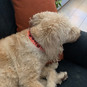 Personalized Dog Collar Pattern Aztec Dog Collar Engraved | Etsy