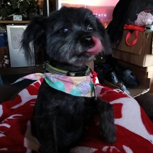 Cindy added a photo of their purchase