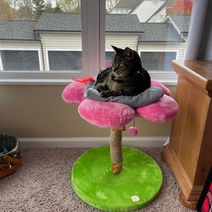 nerdy cat tree