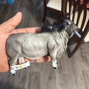 Alexander added a photo of their purchase