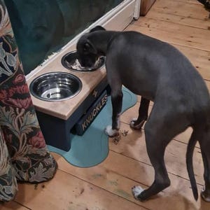 Adi added a photo of their purchase