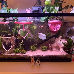 Nina added a photo of their purchase