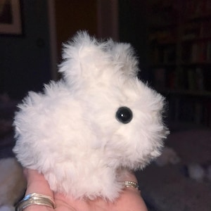 Eloise added a photo of their purchase